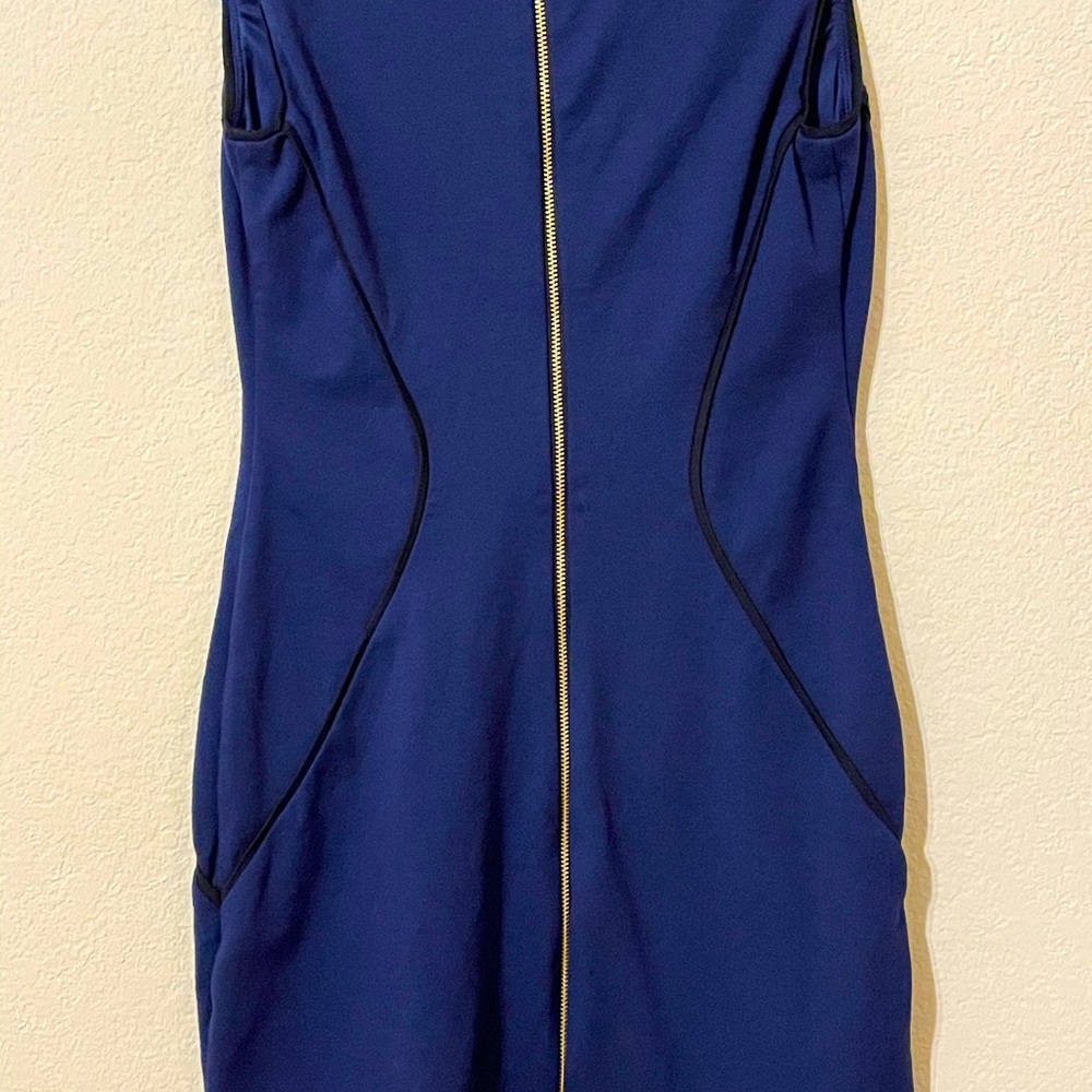 Express Dress - Picture 3 of 4